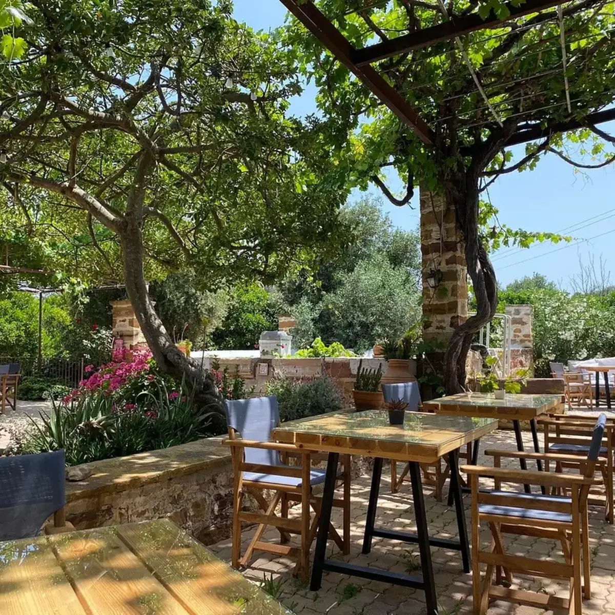 Shaded garden dining area beneath trees and vines at Voulamandis House in Chios